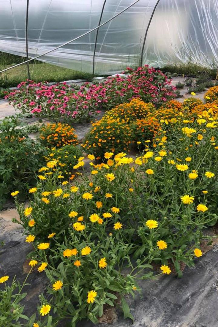 Visites Guidées Gourmandes