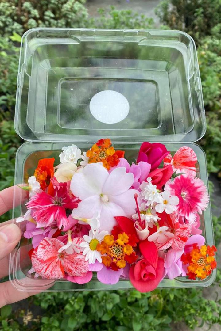 Produits alimentaires à base de fleur Montréal